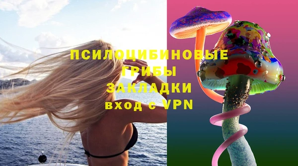 бошки Аркадак
