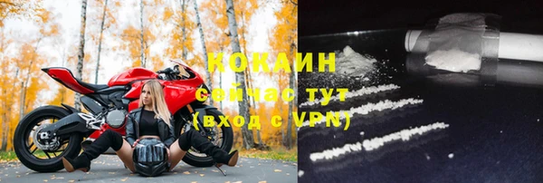 сатива Баксан